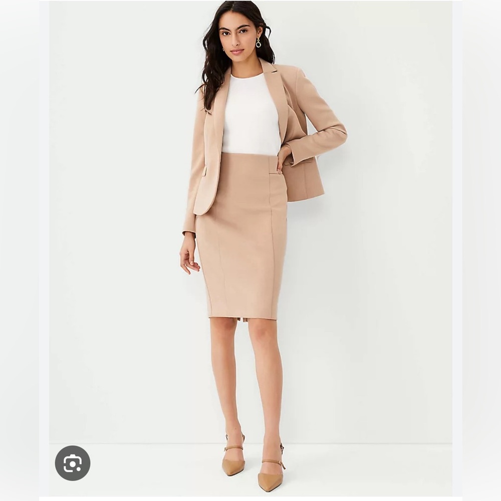 NWT Ann Taylor High Waist Seamed Pencil Skirt in Double Knit 6